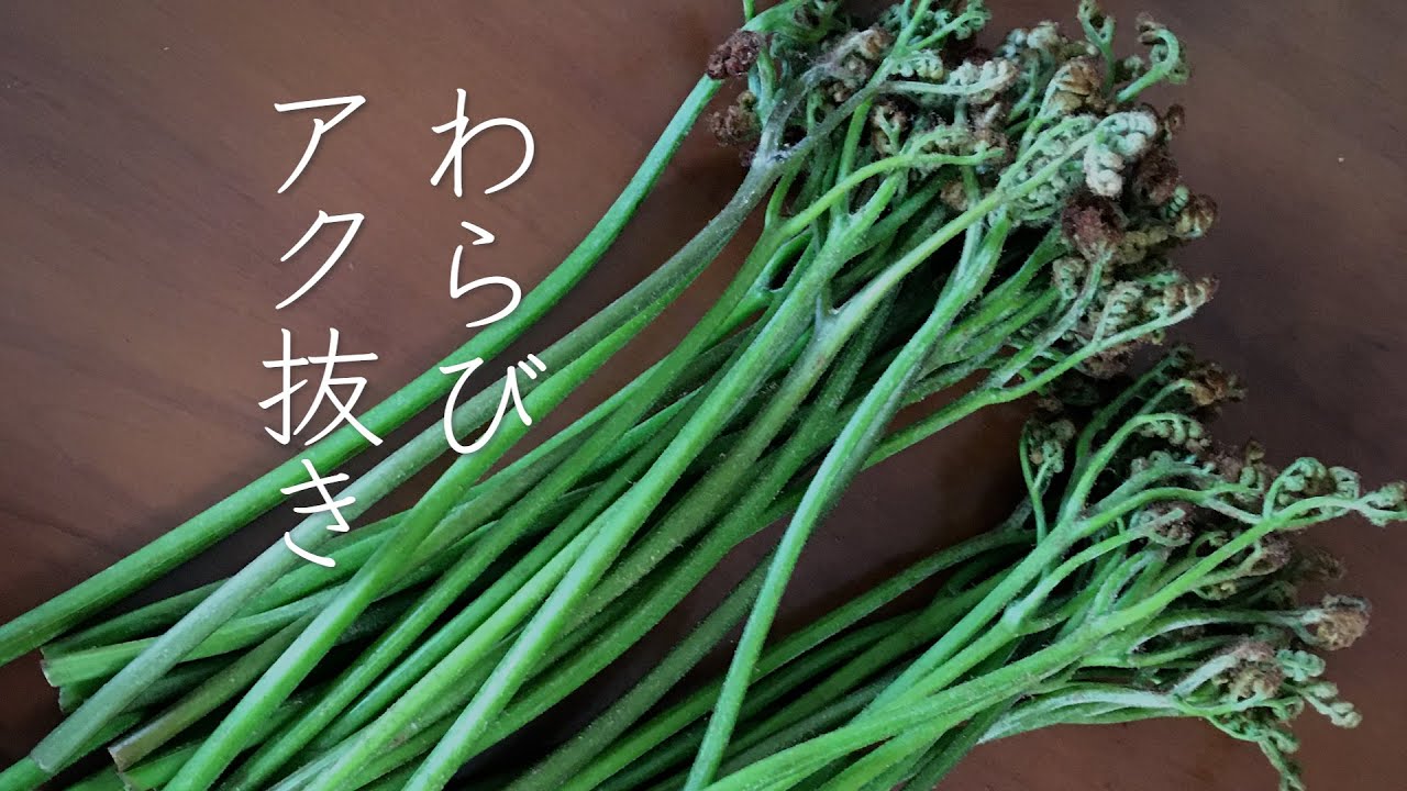 かんたん 蕨 わらび のアク抜きと保存 食べ方 わらび Youtube かんたん 蕨 わらび のアク抜きと保存 食べ方 わらび Youtube