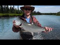 Sockeye Salmon Fishing on Kenai Peninsula | 3-Day Catch and Cook Adventure in Alaska