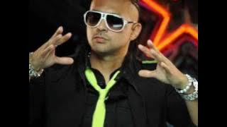 Sean Paul - Pon De Floor Remix
