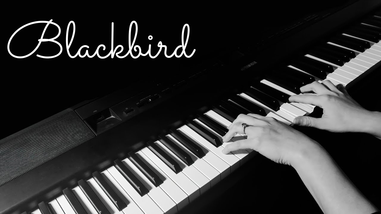 The Beatles - Blackbird piano cover - YouTube
