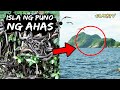 Isla na Puno ng Ahas - Islang Maraming Ahas