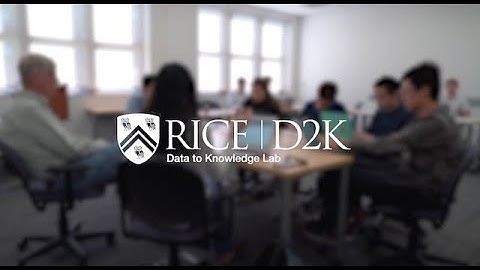 Rice Data Science Consulting Clinic Pivots to Online Format - Students Interviews