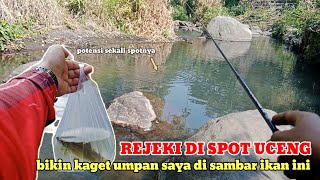 JACKPOT...!! Intended to fish for river loaches, but got interrupted by this fish; lucky I caught...