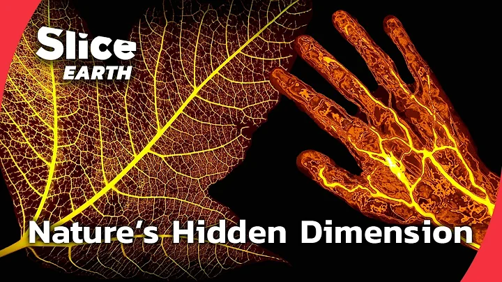New Scientific Discoveries That Change Everything About Plants | SLICE EARTH | FULL DOC thumbnail