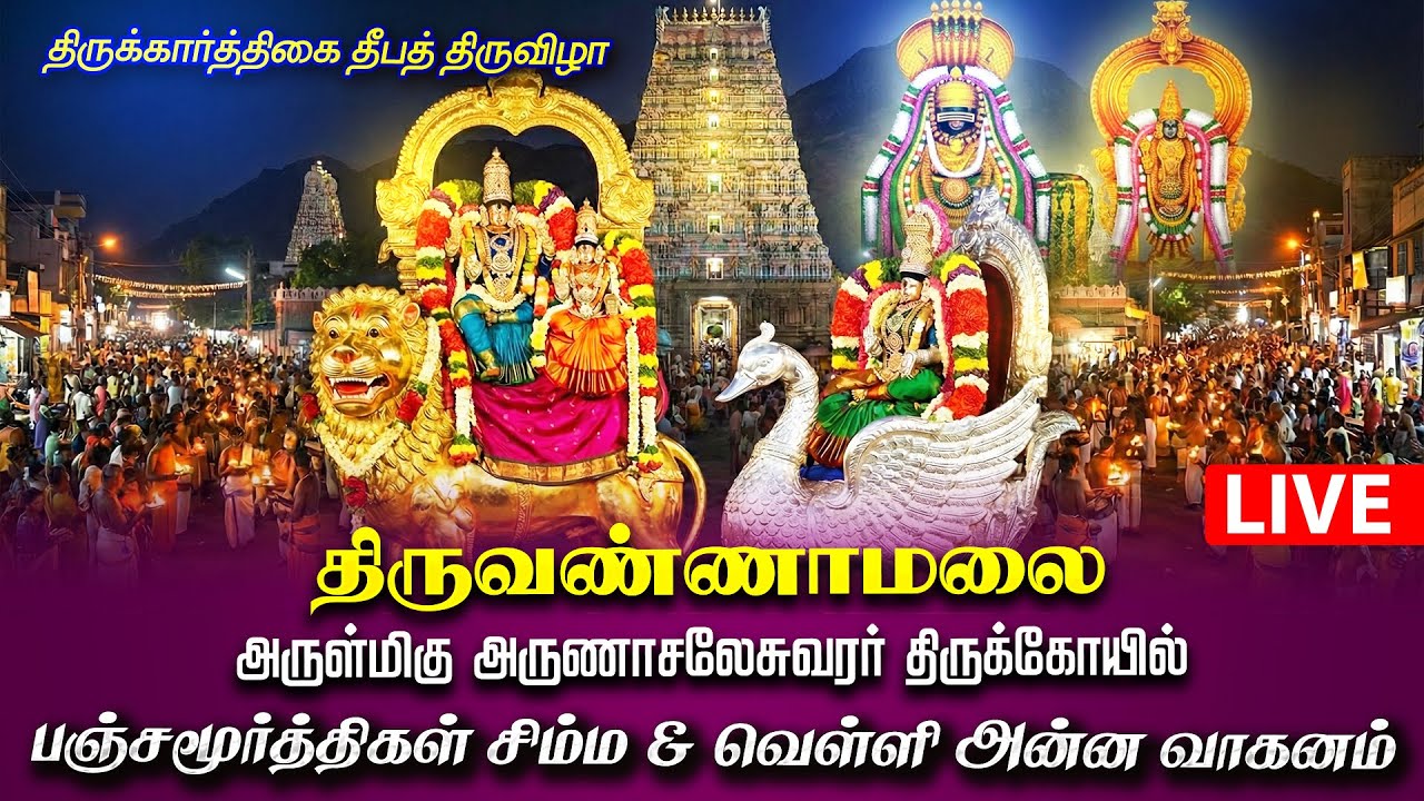 🔴LIVE : திருவண்ணாமலை கார்த்திகை தீபத் திருவிழா 2025 சிம்ம & அன்ன வாகனம் அருணாசலேசுவரர் திருக்கோயில்