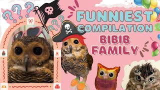 Bibib Family Funniest Compilation Videos part 5 - Video kompilasi Bibib Family the Owl terlucu