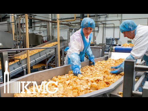 Inspection Vibratory Conveyors