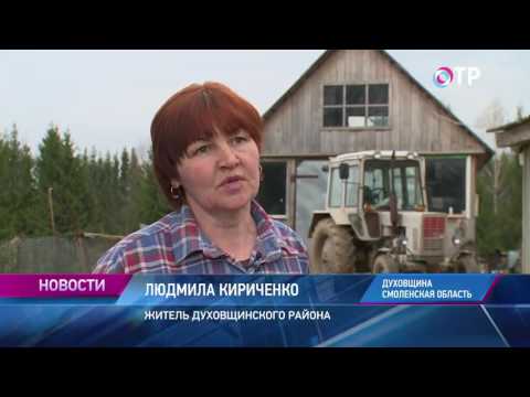 Малые города России:  Духовщина - особый хлеб, холмы и День Победы как главный праздник