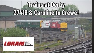 Trains at Derby | Loram 37418 and Caroline, EMT variety & Colas 70809