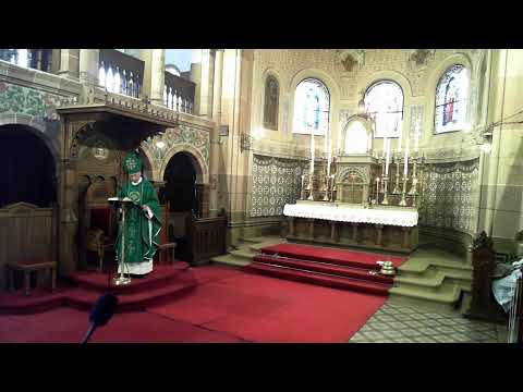 Video: Kakšne So Katedrale