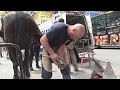 Как подковывают полицейских лошадей в Нью-Йорке