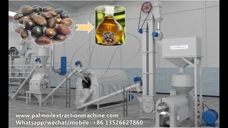Small scale palm kernel oil processing machine, palm kernel oil making machine 3D animation video