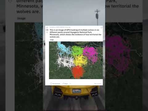#shorts r/damnthatsinteresting narrated
