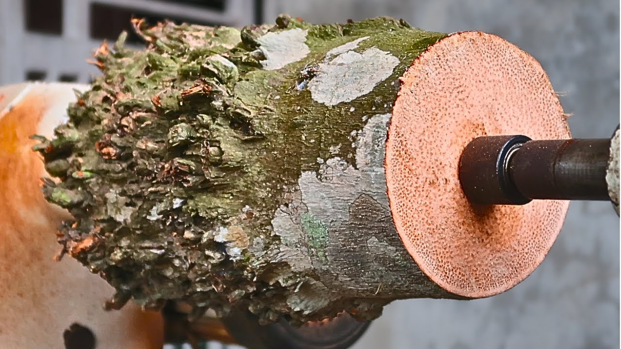 Turning Wood//old areca root,