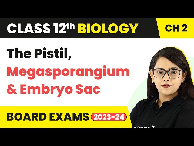 Class 12 Biology Chapter 2 | The Pistil, Megasporangium ( Ovule ) & Embryo Sac CBSE/NEET (2022-23) class=