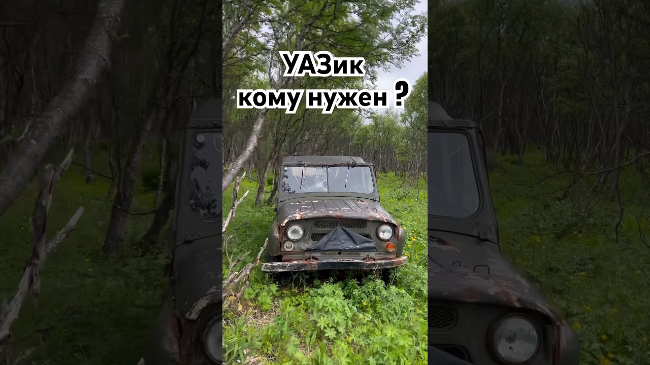 Нашли целый УАЗ в лесу, на ходу  