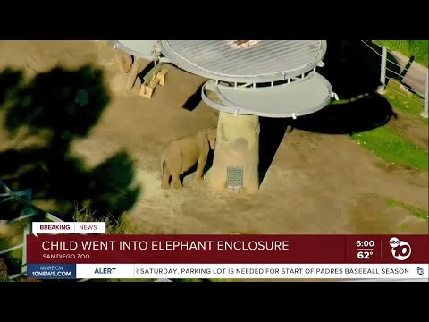 Man carries toddler into San Diego Zoo elephant enclosure, police said