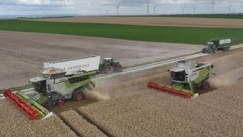 Moisson en Claas Lexion 750 + 8600  Terra Trac & 4 tracteurs Fendt