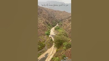 #عاصم_الهوساوي #اكسبلور #مزامير_آل_داود #لايك #تلاوة_خاشعة #راحة_نفسية #ايات_قرانيه_قصيره #تيك_توك