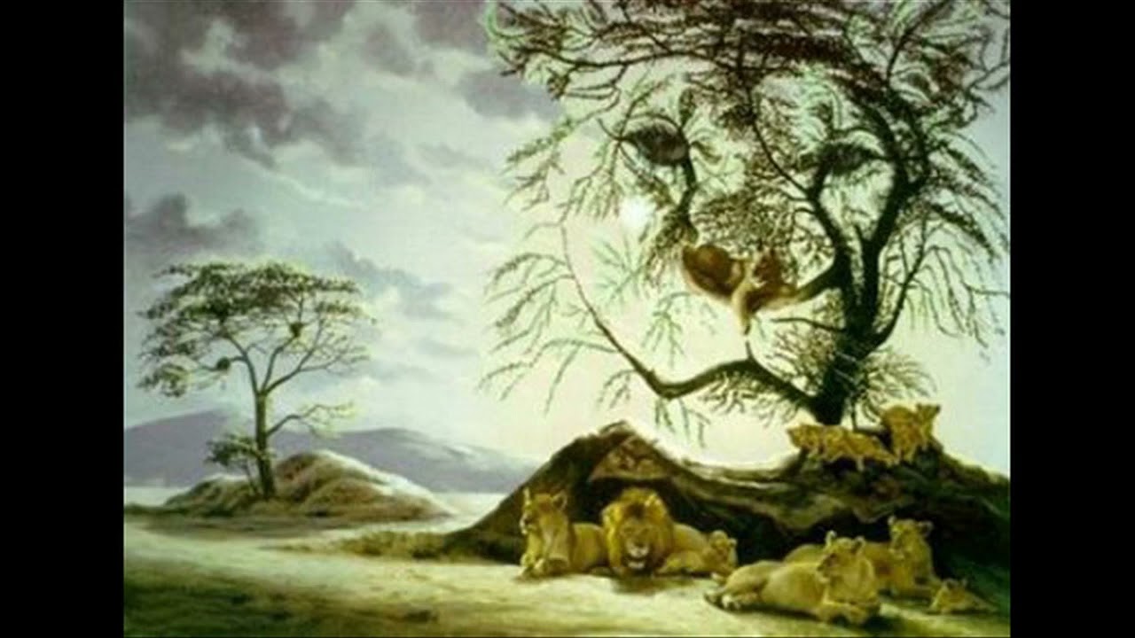 How many lions are in the picture? YouTube