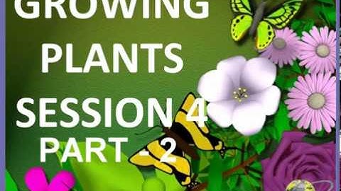 Class 5 Science Growing Plants video session 4 Part 2
