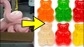 何で作られているか分かってしまったらもう買わなくなってしまうようなもの5選