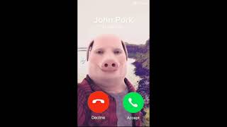 Who is john pork #johnpork #foryou #technoblade #meme