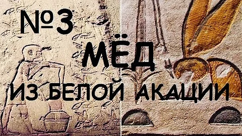 Мёд из белой акации (Honey of white acacia)