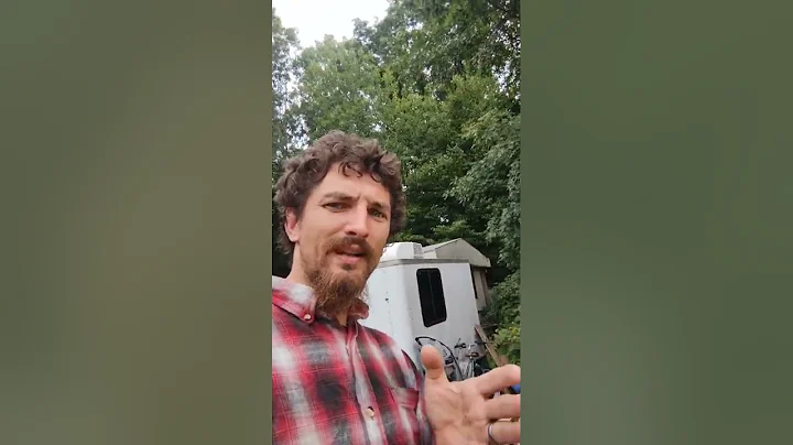 Fermented Pig Feed Recipe Saves $$$