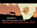 Afrique du sud kalahari kgalagadi transfrontier park pisode 1