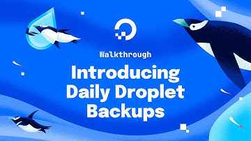 Introducing Daily Droplet Backups