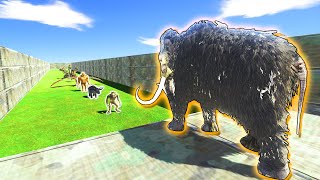 Mammoth Death Run vs All Units - Animal Revolt Battle Simulator