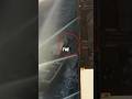 Pirates Attacked Navy Ship