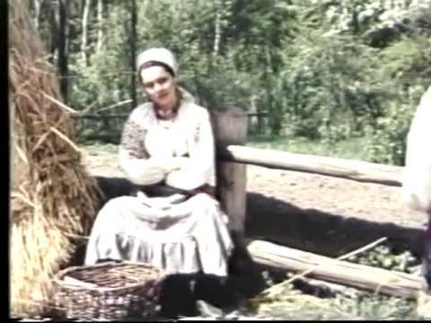 Чоловічі образи у повісті Кайдашева сім'я
