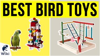 10 Best Bird Toys 2020