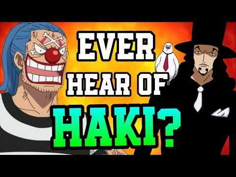 Characters That Really Should Have Known About Haki - One Piece Discussion | Tekking101