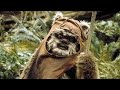 NubNub