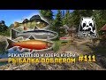 Русская Рыбалка 4 #111 - Река Волхов и озеро Куори. Рыбалка воблером (Russian Fishing 4)