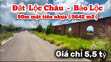 Đất đầu tư Lộc Châu,Bảo Lộc ,Lâm Đồng| 50m mặt tiền nhựa (5642m2) giá chỉ 5,5tỷ
