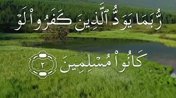 سورة الحجر صفحة ٢٦٢مكتوبة مكررة بصوت سعد الغامدي الجميل