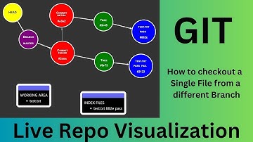 How to Checkout a single file from a Different Branch #VisualGit