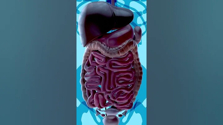 How long will it take all of the gluten to leave my body?