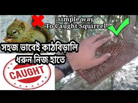 ভিডিও: কীভাবে মানুষকে প্রভাবিত করবেন (ছবি সহ)