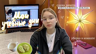 видео: МОИ УЧЕБНЫЕ ДНИ: сдача зачета, доклад, домашка // Уборка В Комнате / дневник студентки, стади виз ми картинка: МОИ УЧЕБНЫЕ ДНИ: сдача зачета, доклад, домашка // Уборка В Комнате / дневник студентки, стади виз ми