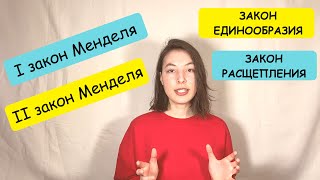 Первый и второй законы Менделя. Закон ЕДИНООБРАЗИЯ. Закон РАСЩЕПЛЕНИЯ