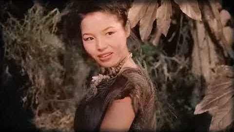 A Single WOMAN And 32 MEN Stranded on an Island - the Queen of ANATAHAN || True Story