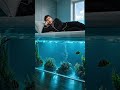 #akuarium  #aquascaping #miniwaterfall #ecosystem #landscapeaquarium #relaxingview
