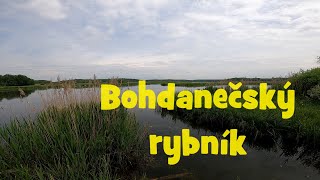 Bohdanečský rybník