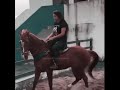 Vídeo top para status de vaquejada 💥