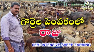 గొర్రెల పెంపకంలో యువరైతు జయభేరి || Success Story of Semi Intensive Sheep farming || Karshaka Mitra